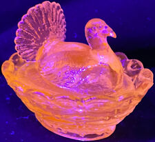 2 hen turkeys for sale 2 hen turkeys for sale Marco Island