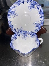 Shelley teacup saucer for sale  San Rafael