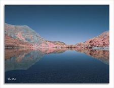 Converted 550nm infrared for sale  BRISTOL