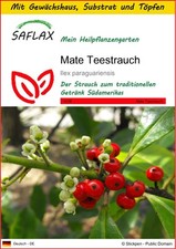 Saflax anzuchtset mate gebraucht kaufen  Münster