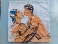 Sexy kissenbezug 45cm gebraucht kaufen  Dresden
