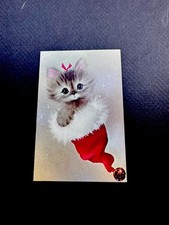cat sweetest for sale cat sweetest for sale Redwood City