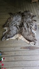 Full trophy elk for sale  Dresden