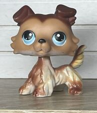 Petshop chien colley d'occasion  Expédié en Belgium