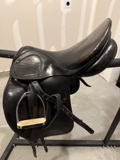 Stubben scandica dressage for sale  Garner