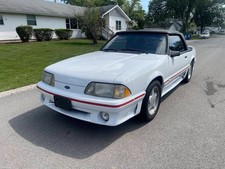 clean mustang for sale clean mustang for sale Bridgeview