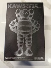 2022 kaws open for sale  Charlotte