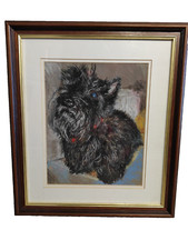 Scottie scottish terrier for sale  THIRSK