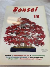 Bonsai today 1992 for sale  STOCKPORT