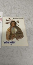 Wrangler minneconjou adesivo usato  Trevenzuolo