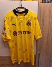 Bvb dfb pokal gebraucht kaufen  Rodenberg