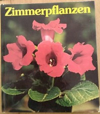 Zimmerpflanzen editha thomas gebraucht kaufen  Estenfeld