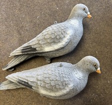 flocked pigeon decoys for sale flocked pigeon decoys for sale SOUTHAMPTON