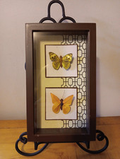Quadro de arte de parede vintage borboleta caixa de sombra MCM 70 decoração retrô 10" comprar usado  Enviando para Brazil