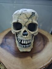 Cracked skull large for sale  LONDON