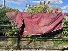 Shires tempest 200g for sale  HUDDERSFIELD
