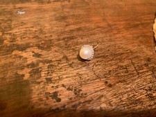 Orecchino perla morellato usato  Milano