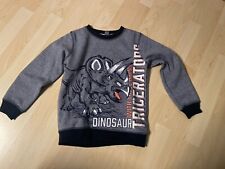 Toller pullover dinosaurier gebraucht kaufen  Waldachtal