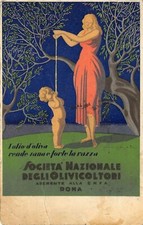 A1710 olio oliva usato  Lugo