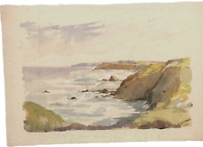 Original watercolour widemouth for sale  CHURCH STRETTON