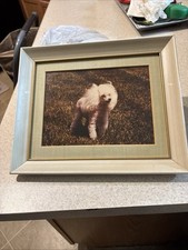 Framed picture print for sale  Las Vegas