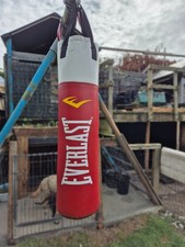 Everlast punch bag for sale  HARWICH