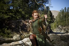 Hobbit smaugs einöde gebraucht kaufen  Hof