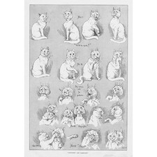 Louis wain courtship for sale  GLASGOW