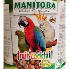 Manitoba fruit cocktail usato  Pagani