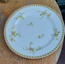Assiette plate haviland d'occasion  Metz-