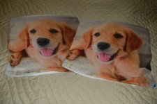 golden retriever gebraucht kaufen golden retriever gebraucht kaufen Neuenhagen