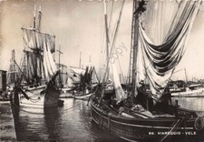 Cartolina nave viareggio usato  Milano