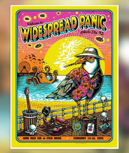 Widespread panic poster for sale  Carlisle