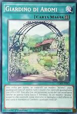 Giardino aromi comune usato  Calcinaia