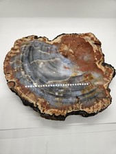 Polished petrified wood for sale  Granada Hills