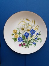 Porzellanteller handmalerei bl gebraucht kaufen  Leipzig