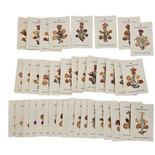 Lote de 39 flores secas da Terra Santa, cartão devocional sagrado antigo. comprar usado Lote de 39 flores secas da Terra Santa, cartão devocional sagrado antigo. comprar usado  Enviando para Brazil