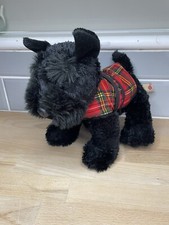 Keel scottie scottish for sale  HEREFORD