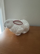 Tiffany austria bunny for sale  Fairport