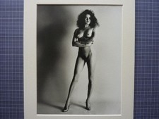 Helmut newton erotische gebraucht kaufen  Rodenbach