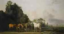 George stubbs photo for sale  UK