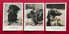 Foto dackel langhaardackel gebraucht kaufen  Dresden