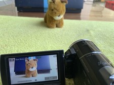 Filmadora Sony Handycam HDR-PJ260VE Full HD com Projetor e Zoom USB 30x Integrado comprar usado  Enviando para Brazil