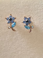 Suzi suzanne bjontegard for sale  STAFFORD