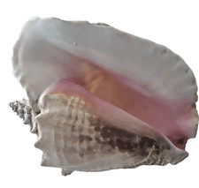 Large pink queen for sale  La Mesa