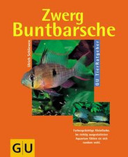 Zwergbuntbarsche schliewen ulr gebraucht kaufen  Berlin