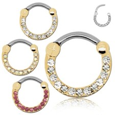 Nasenohrring set segmentring gebraucht kaufen  Kreischa
