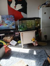 Glass 60l fish for sale  WARRINGTON