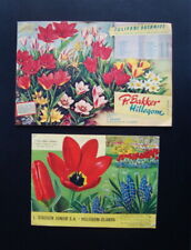 Due cataloghi tulipani usato  Italia