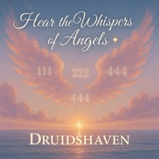 Usado, Leitura de número de anjo - 111 222 444 Divine Whispers - Tarô comprar usado  Enviando para Brazil
